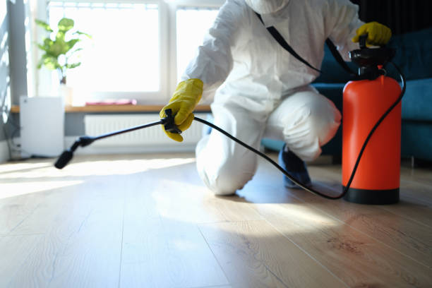 Reliable Blood Cleanup contractor in Santa Paula, CA by Trauma Clean Pros